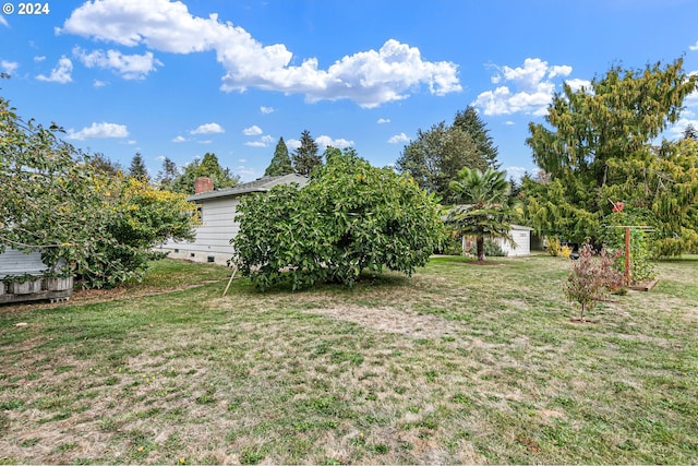 view of yard featuring a storage shed