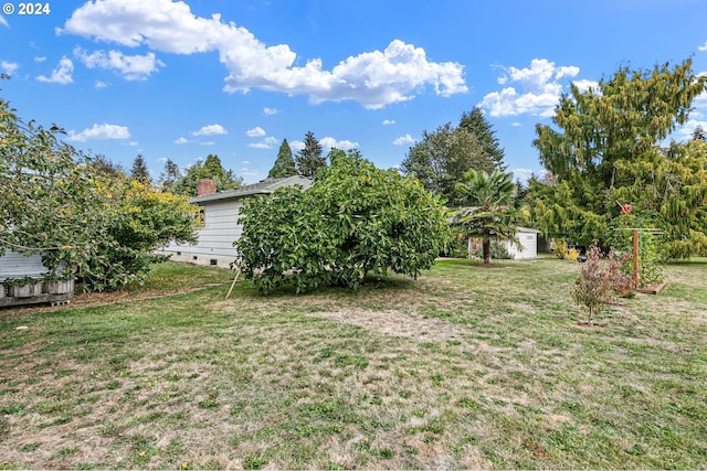 view of yard