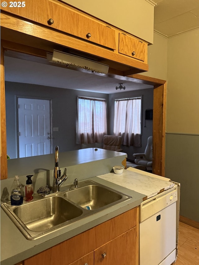 kitchen with dishwasher, light wood-type flooring, and sink