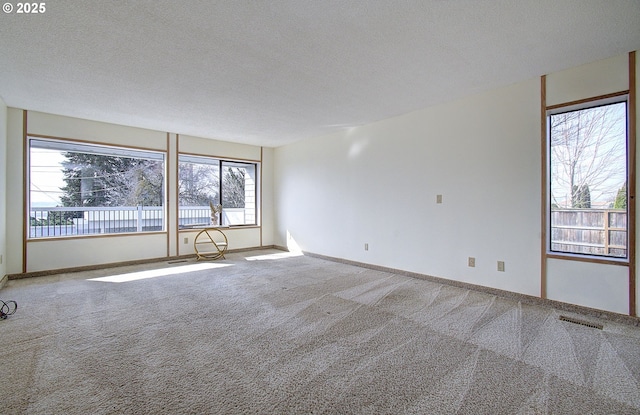 spare room featuring visible vents, a textured ceiling, baseboards, and carpet floors