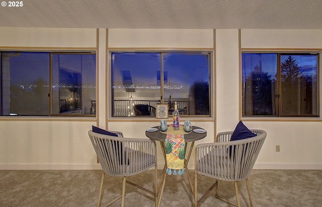 carpeted dining room featuring a textured ceiling and baseboards