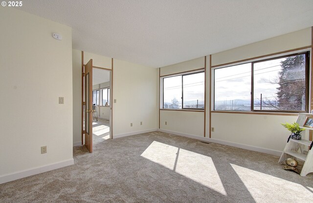 interior space with a textured ceiling, multiple windows, baseboards, and light carpet