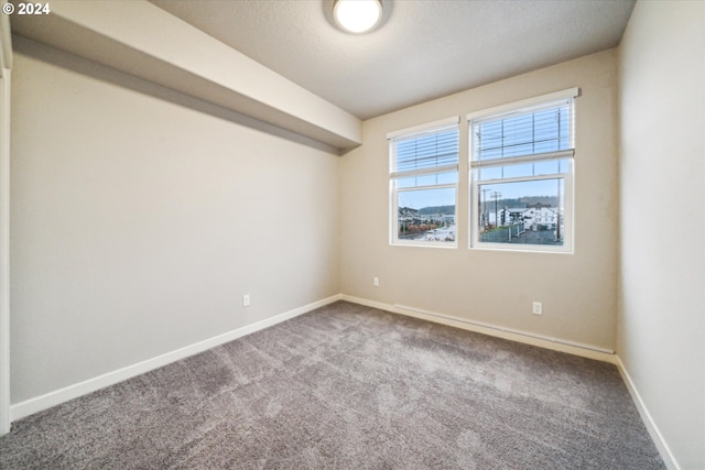 spare room featuring carpet floors