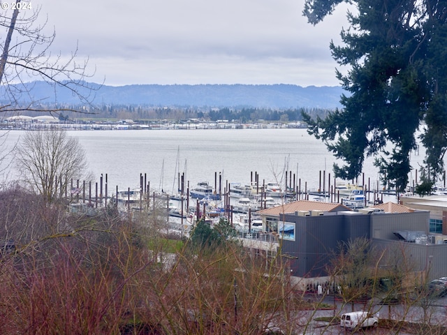 view of water feature with a mountain view and a boat dock