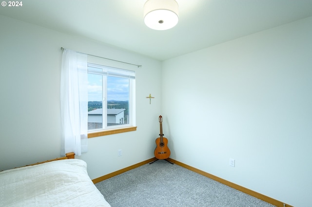 bedroom featuring carpet floors