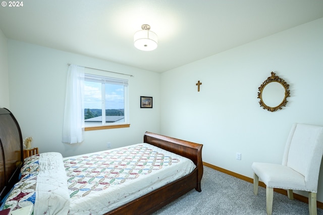 bedroom featuring carpet