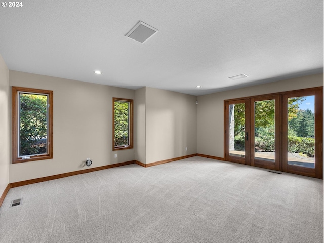 carpeted empty room featuring a textured ceiling and a healthy amount of sunlight