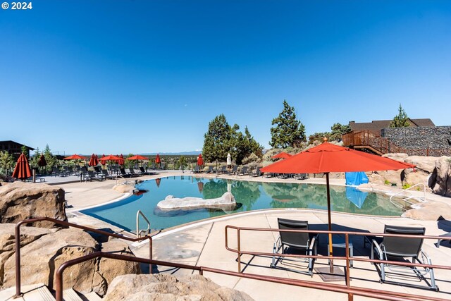 view of swimming pool with a patio