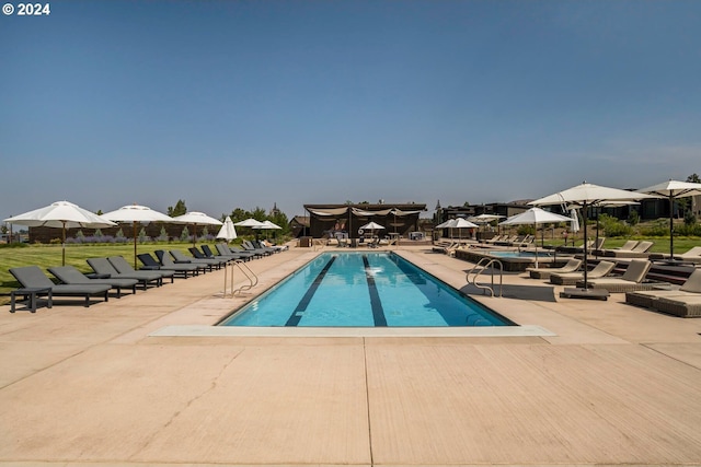 view of pool with a patio area