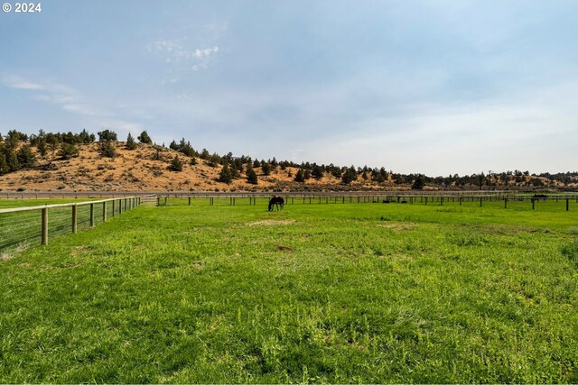 view of yard featuring a rural view