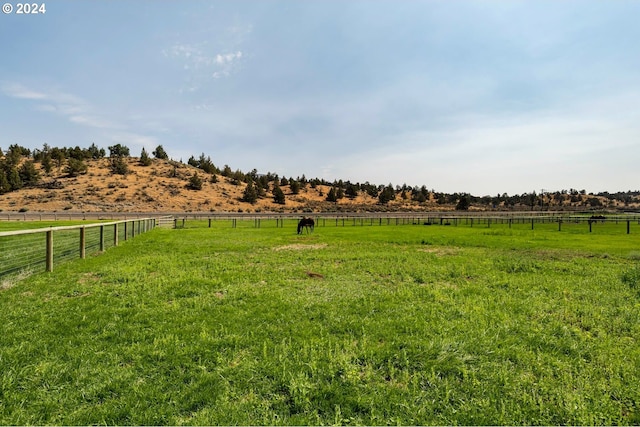 view of yard with a rural view