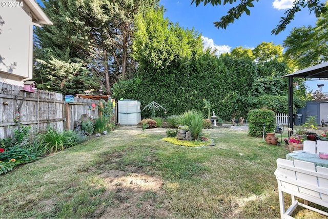 view of yard featuring a storage unit