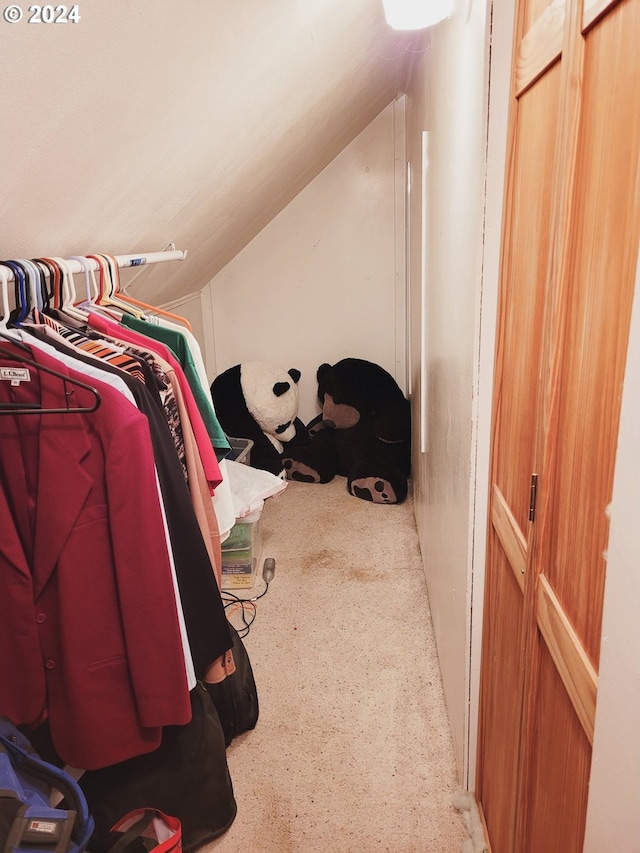 spacious closet with vaulted ceiling