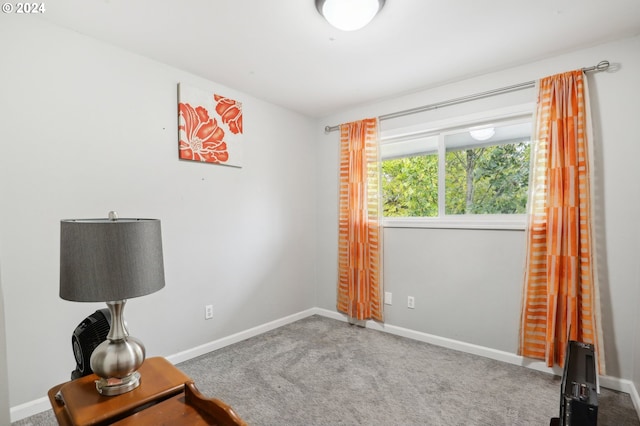 interior space featuring carpet flooring