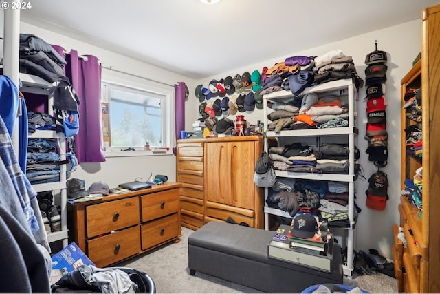 spacious closet with light colored carpet