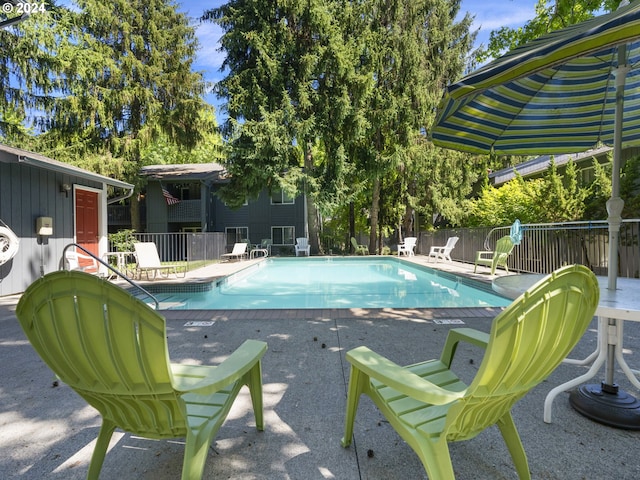 view of swimming pool with a patio