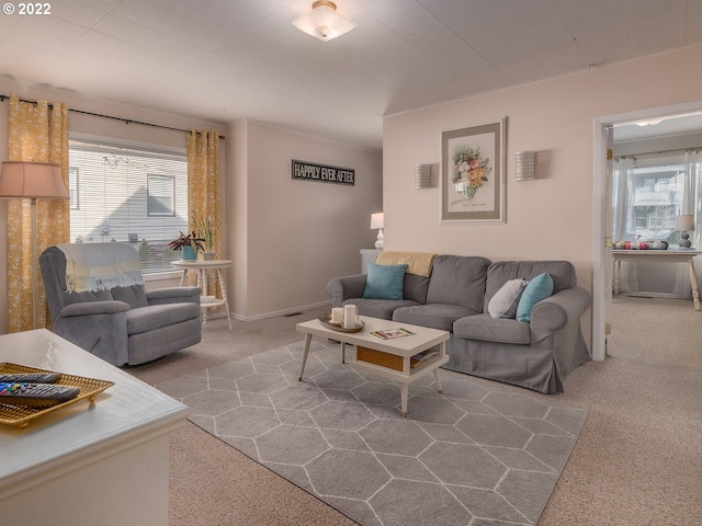 view of carpeted living room