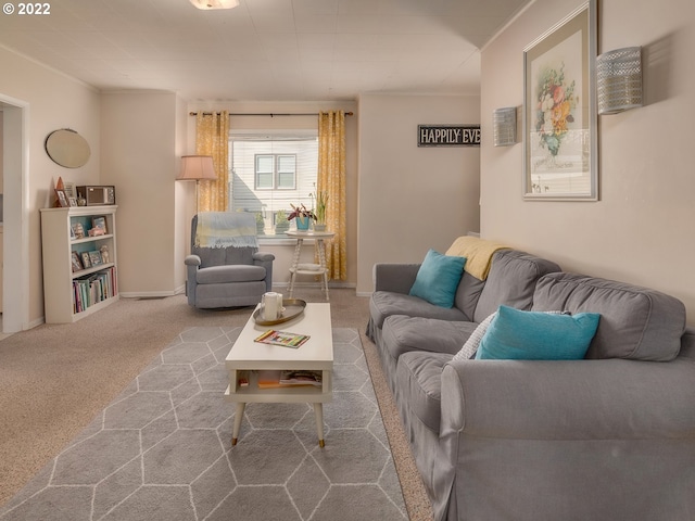 living room with carpet