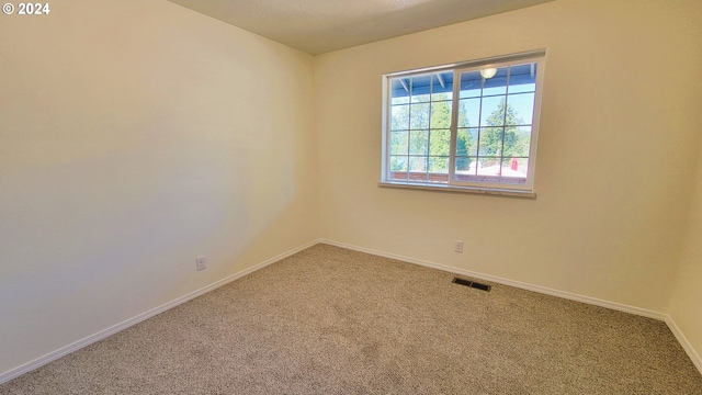 view of carpeted spare room