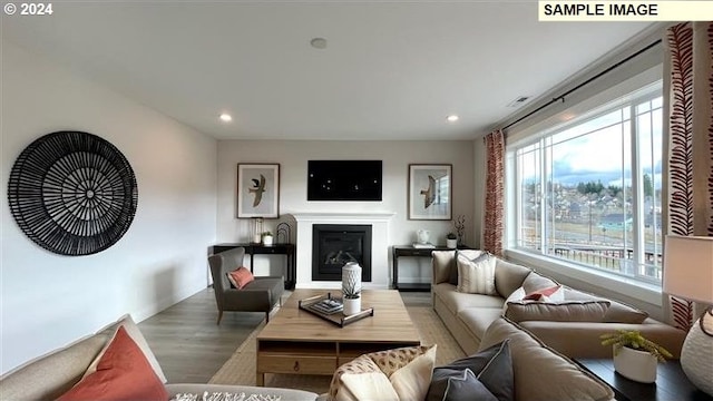 living room with hardwood / wood-style flooring and a healthy amount of sunlight