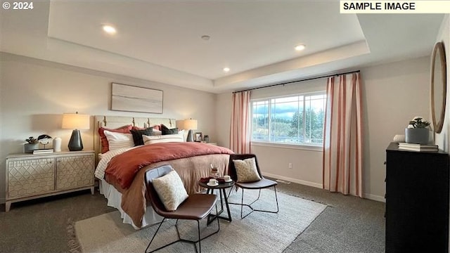 bedroom featuring carpet floors and a tray ceiling