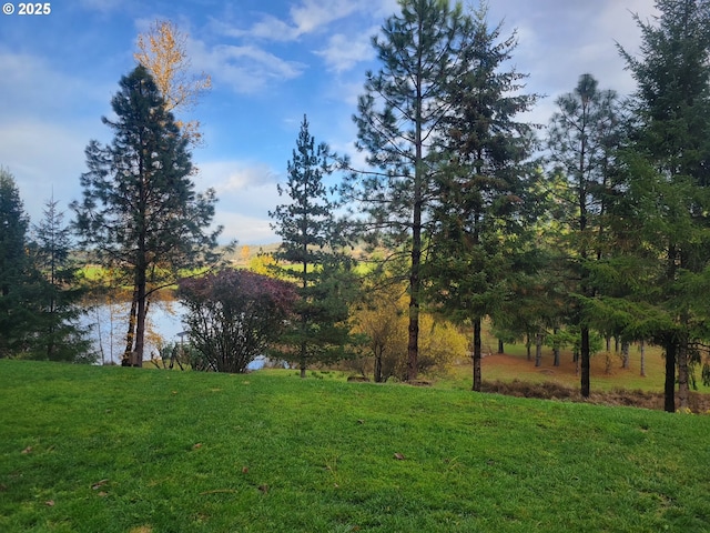 view of yard with a water view