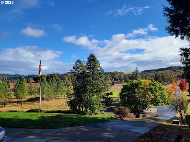 view of community featuring a yard and a rural view