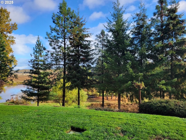 view of yard with a water view