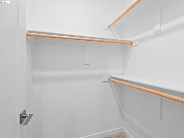 view of walk in closet