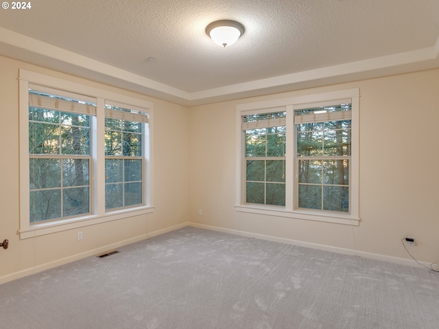 spare room with carpet floors, a textured ceiling, and a wealth of natural light