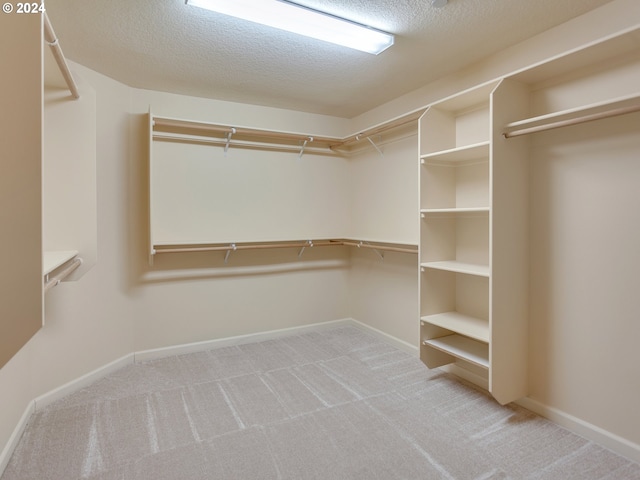 spacious closet featuring light colored carpet