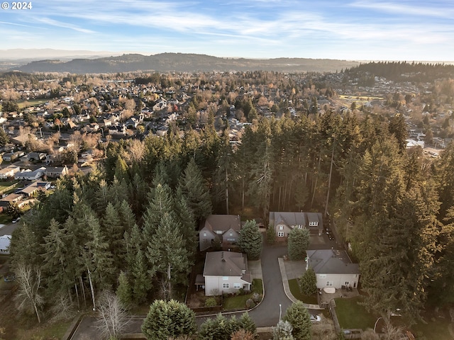 drone / aerial view with a mountain view