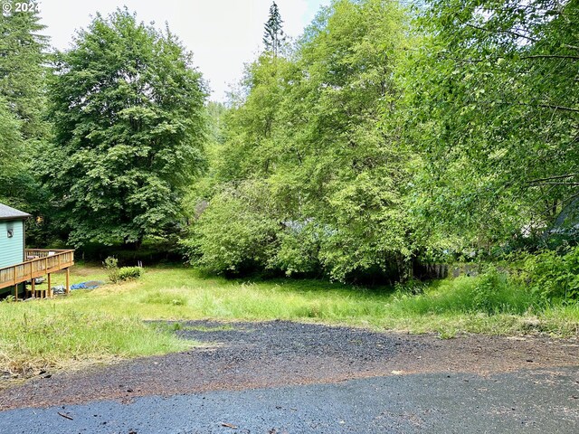 71529 Fishhawk Rd, Birkenfeld OR, 97016 land for sale