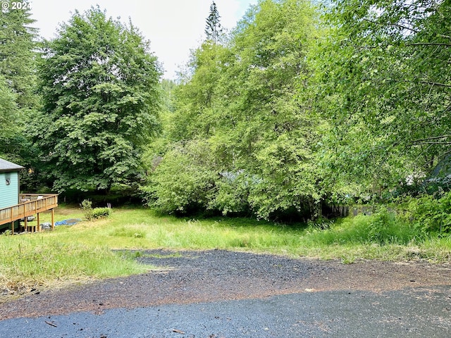 71529 Fishhawk Rd, Birkenfeld OR, 97016 land for sale