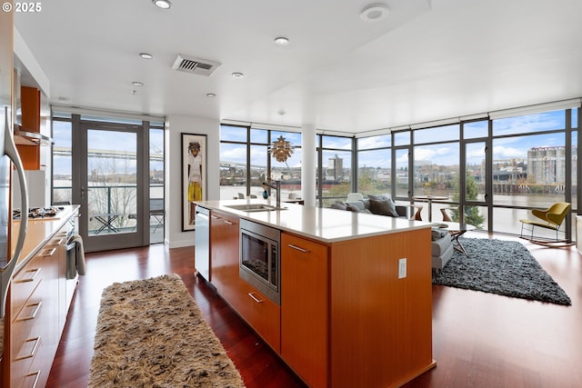 kitchen featuring a water view, sink, an island with sink, appliances with stainless steel finishes, and dark hardwood / wood-style flooring