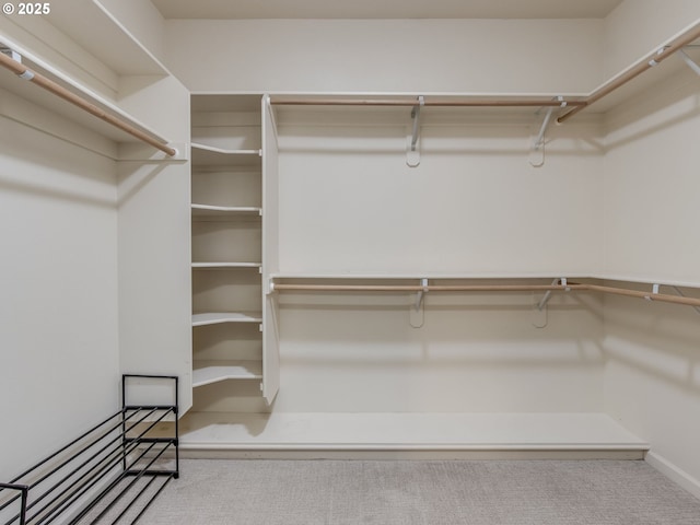 spacious closet featuring carpet