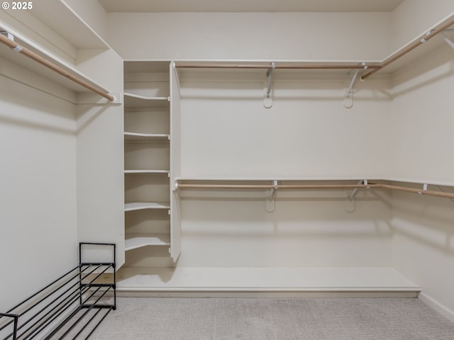 spacious closet featuring carpet flooring