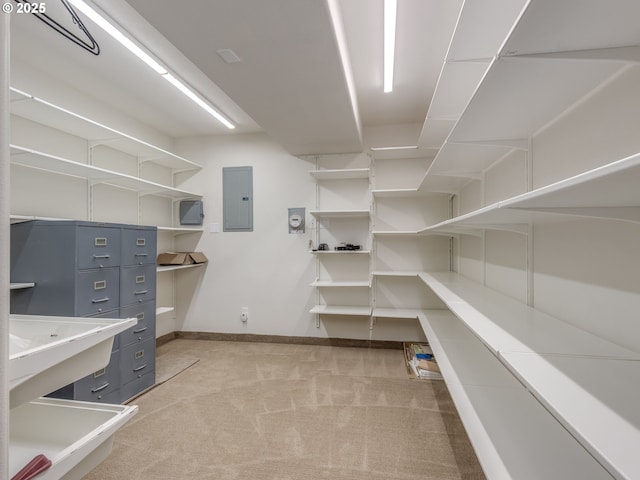 walk in closet with electric panel and light carpet