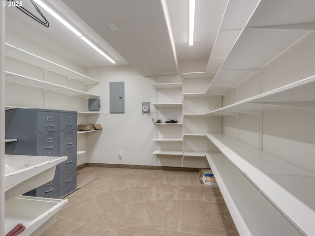 storage featuring electric panel
