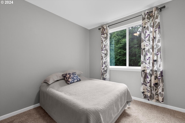 carpeted bedroom featuring multiple windows