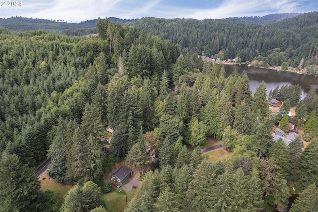 drone / aerial view with a water view and a view of trees