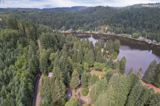 aerial view of a heavily wooded area and a water and mountain view