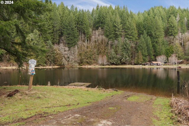 water view with a heavily wooded area