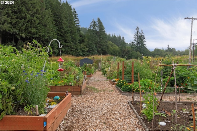 view of yard with a vegetable garden