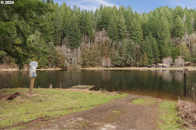 property view of water with a forest view