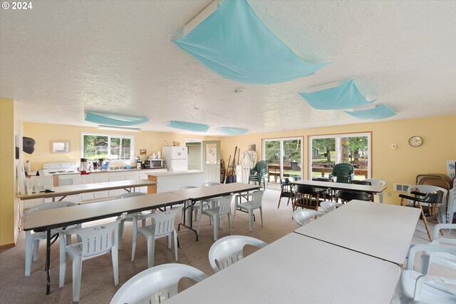 carpeted dining space featuring plenty of natural light and a textured ceiling