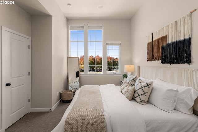 carpeted bedroom with multiple windows