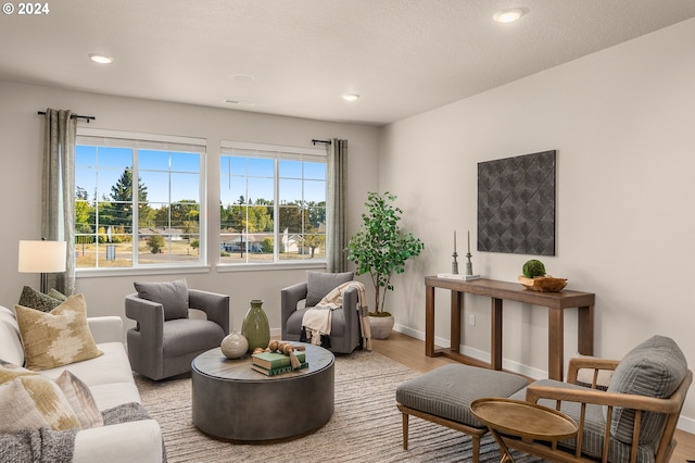 living room with light hardwood / wood-style floors