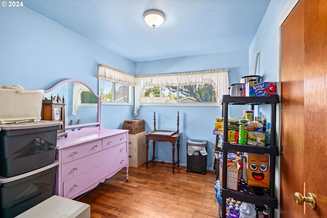 bedroom featuring wood-type flooring and multiple windows