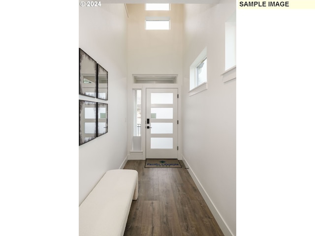 doorway to outside featuring dark hardwood / wood-style floors and a towering ceiling